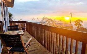 Kaka Point Spa Accommodation - Catlins